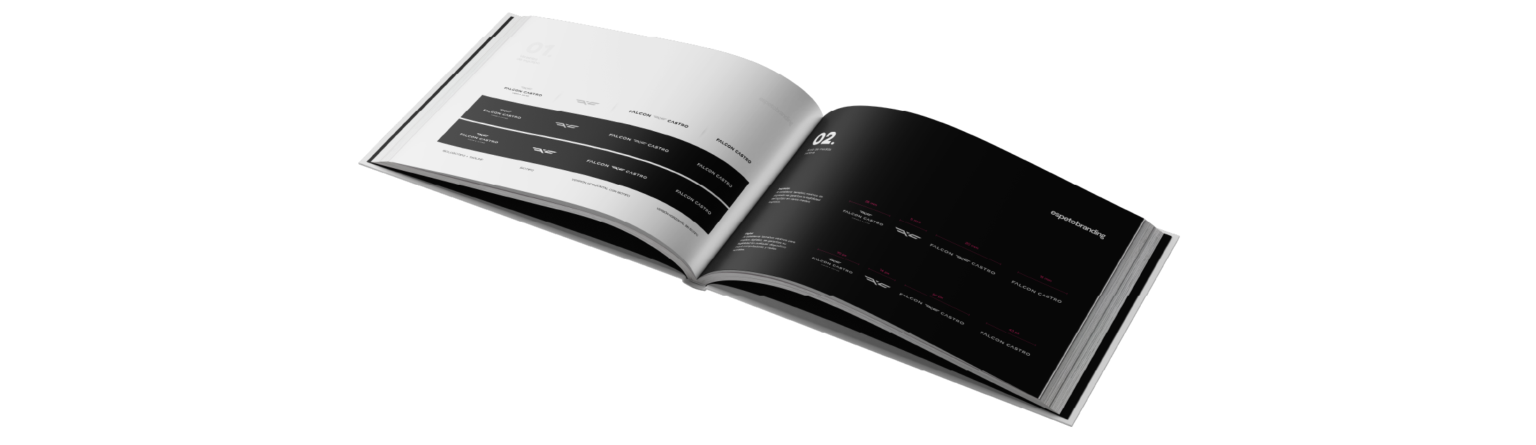 Falcon_Reto _ Foto 1