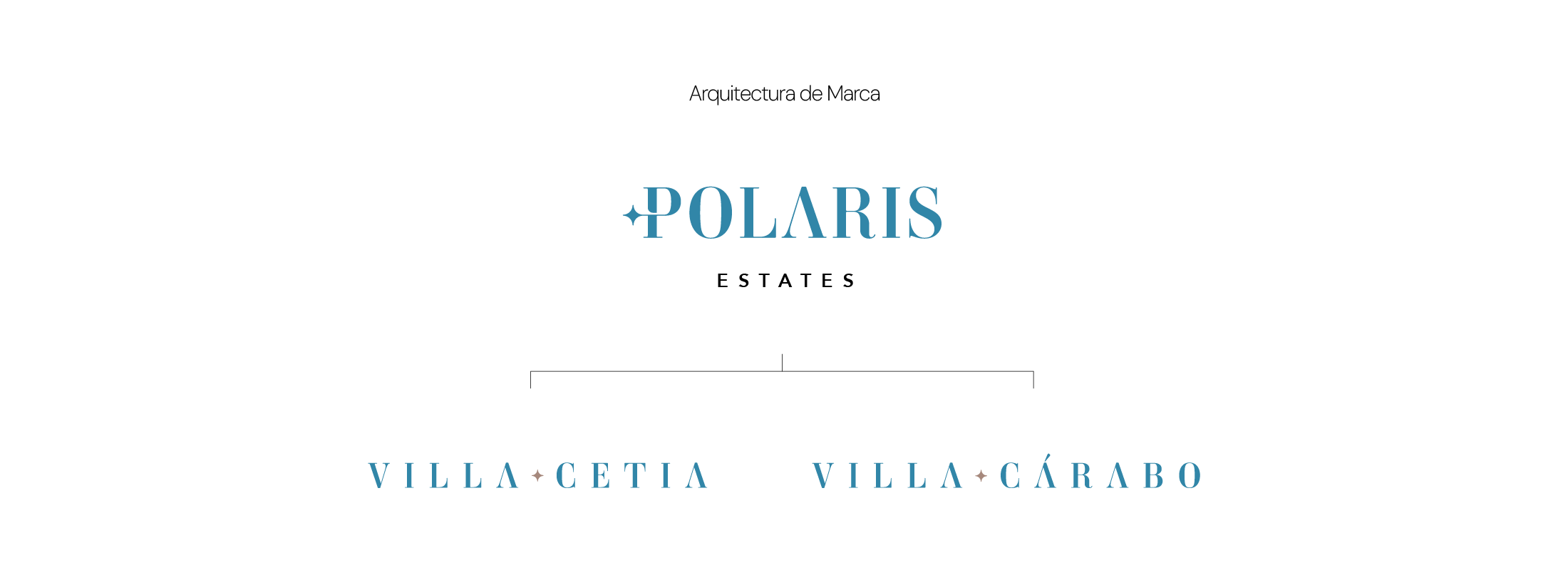 Polaris_Solución_ foto-1